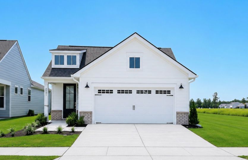4181 Yellow Flag Iris St (Hallmark)