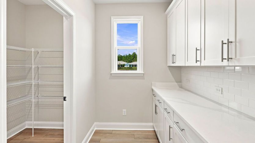 Kitchen and Pantry