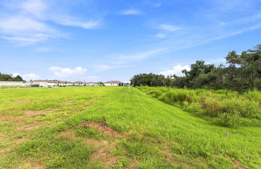 Conservation View Homesite