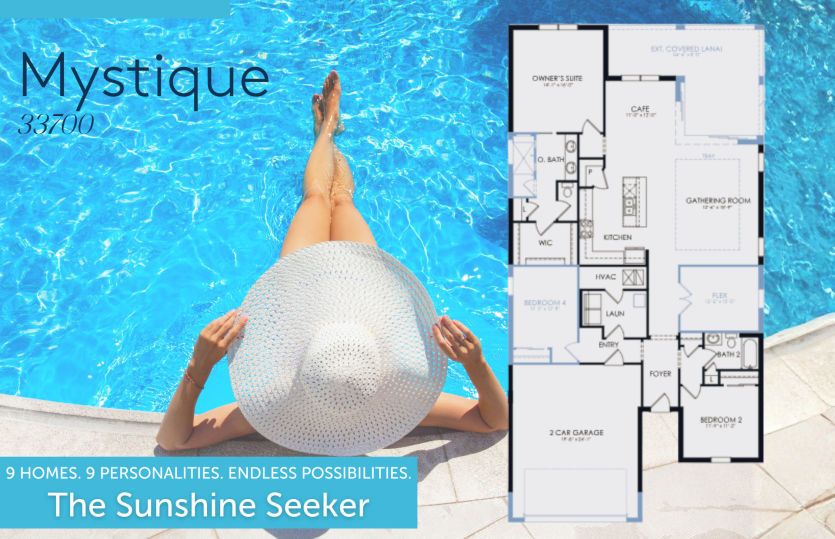 The Sunshine Seeker