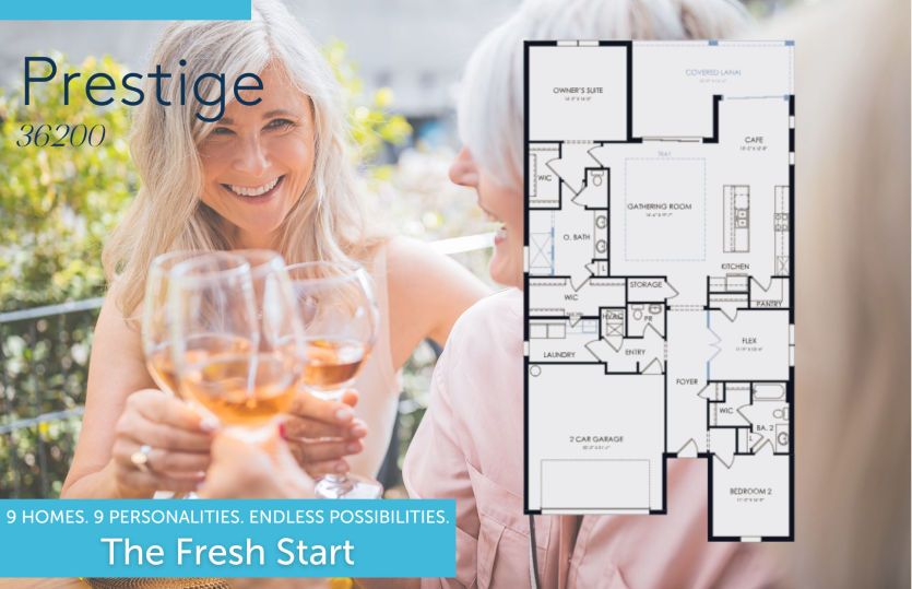 The Fresh Start