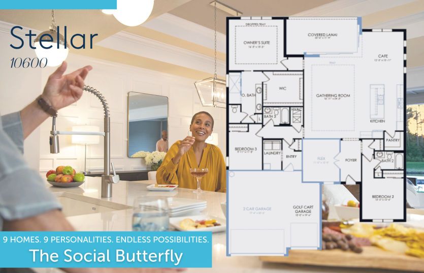 The Social Butterfly