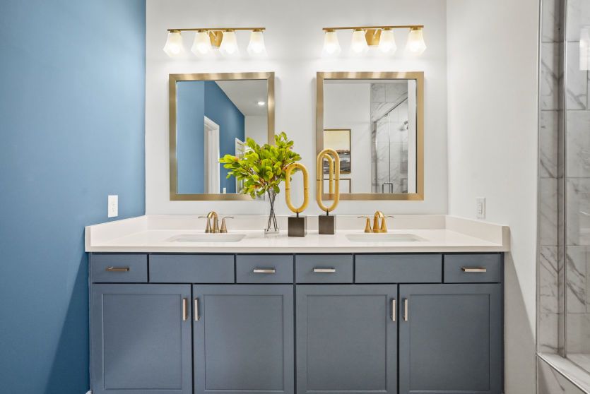 Owner's Bathroom