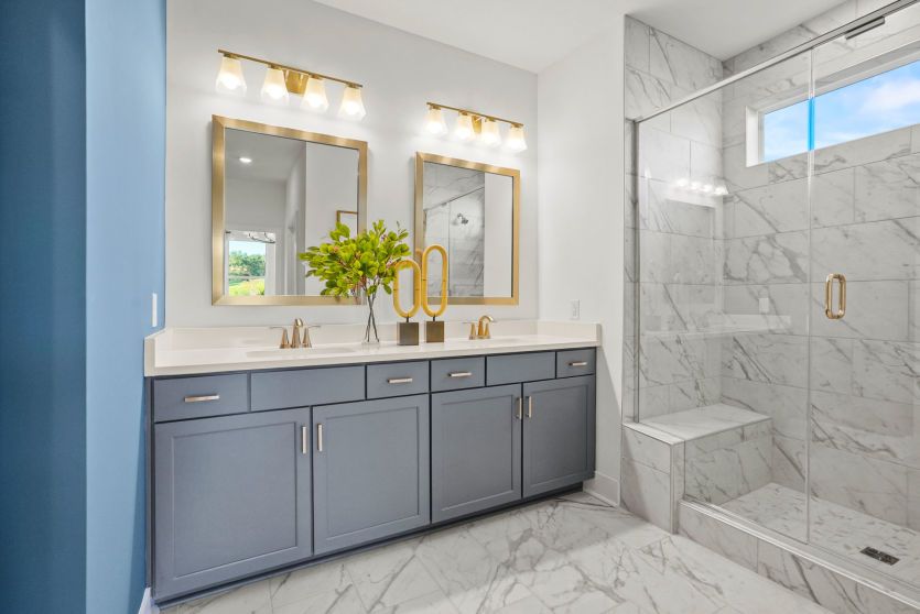 Owner's Bathroom