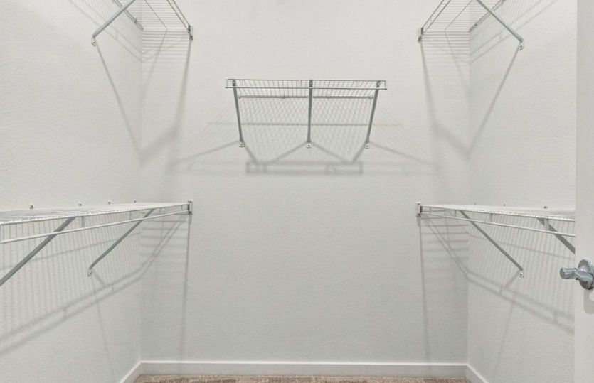 Owner's Walk-in Closet