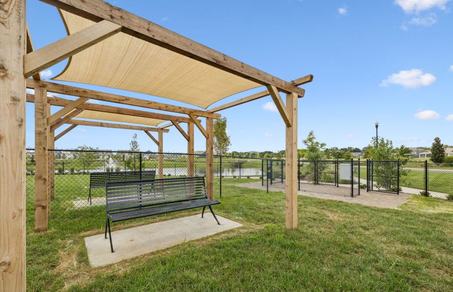 Bark Park