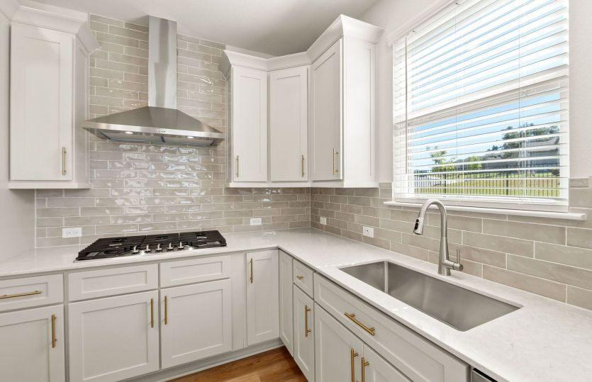 Representational Photo- Kitchen with Premium Appliances