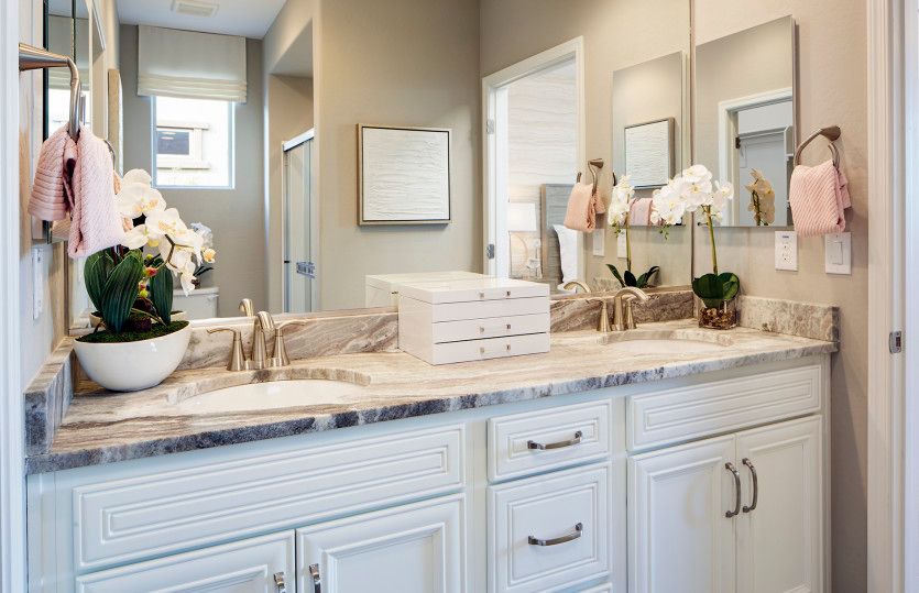 Owner's Bath with Dual Vanity Sinks