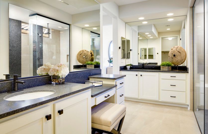 Luxurious Owner's Bath