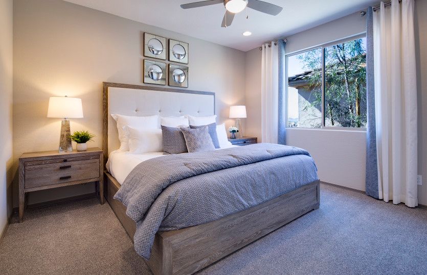 Consumer Inspired Living in Buckeye