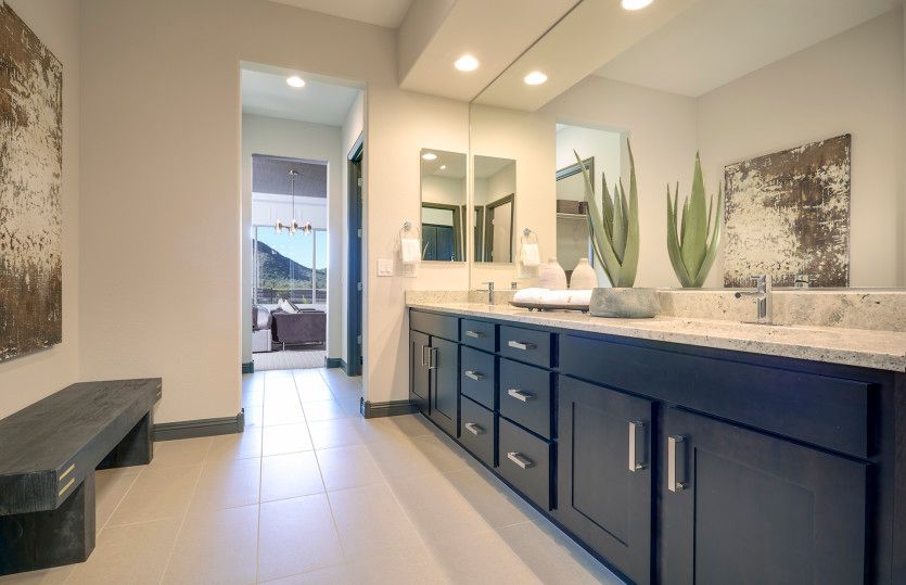 Walk-In Shower and Dual Vanities in Owner's Bath