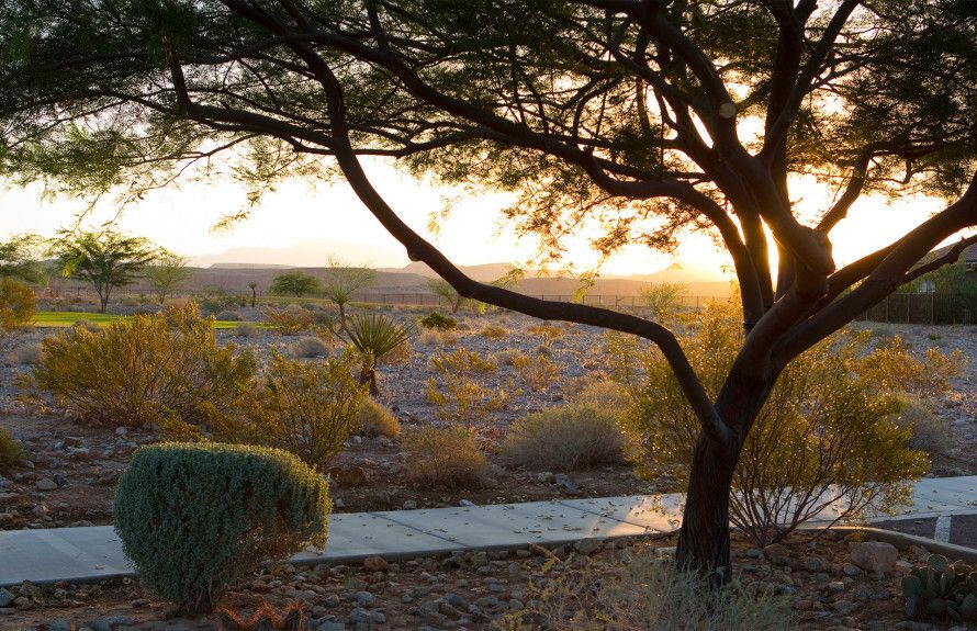Scenic Walkways