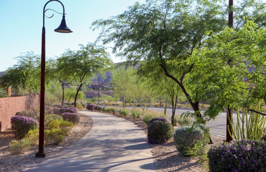 Walking Trails