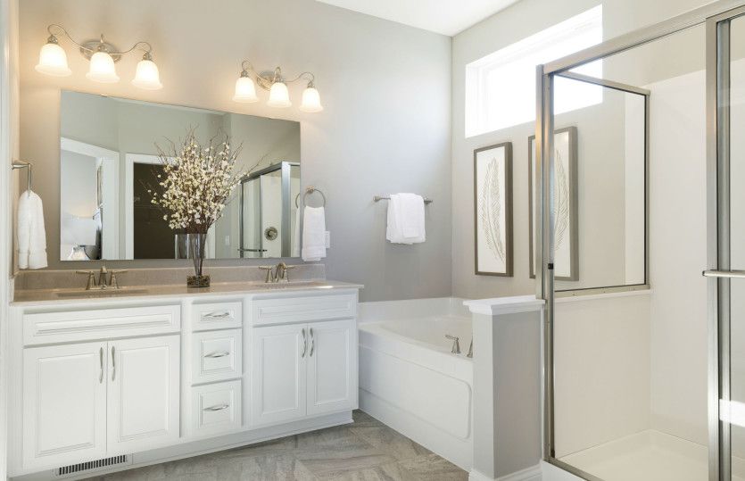 Owner's Bath Suite