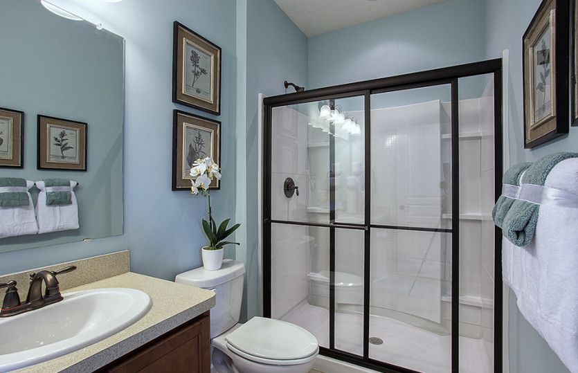 Owner's Bath Suite