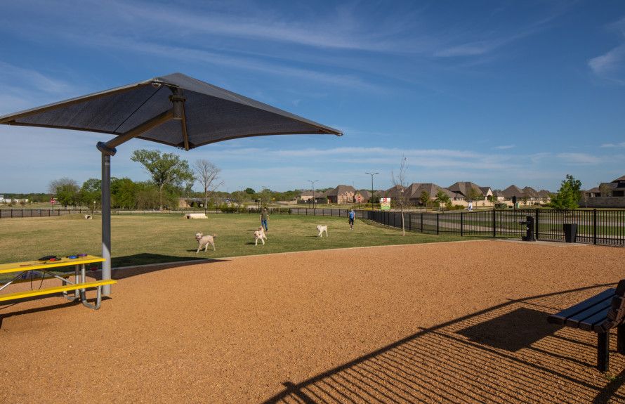 Dog park