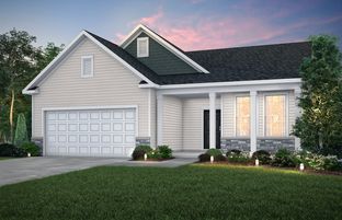 Martin Ray with Basement - Bellwether by Del Webb: Corcoran, Minnesota - Del Webb