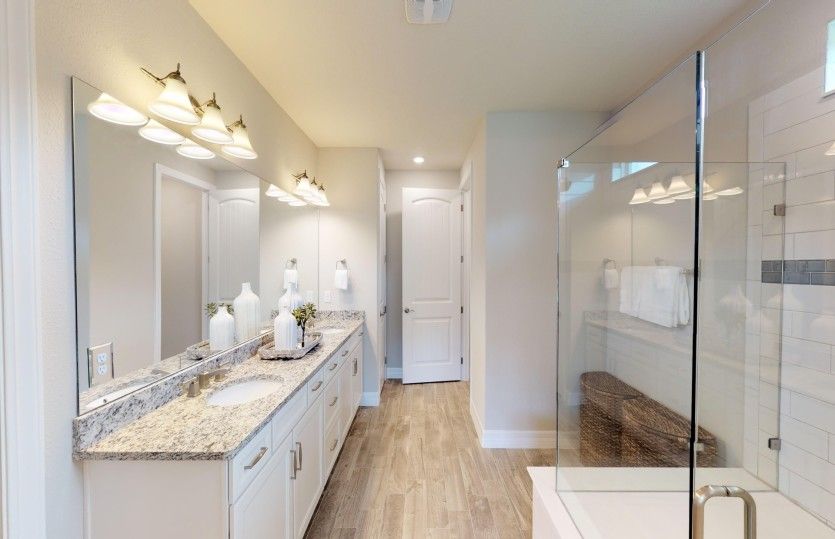 Owner's Bath
