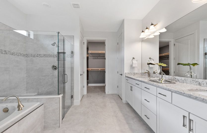 Owner's bathroom with walk-in closet