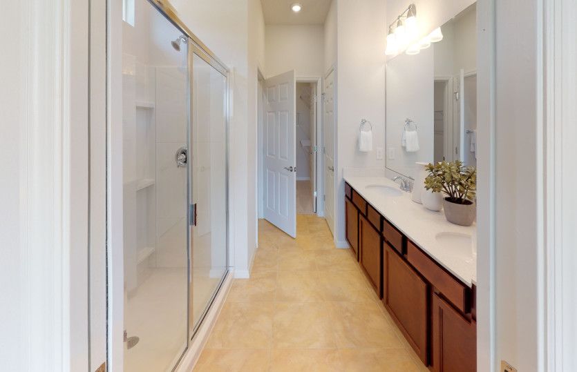 Owner's Bathroom