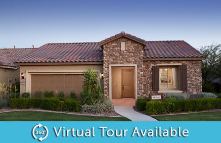 Haven by Del Webb in Phoenix-Mesa AZ