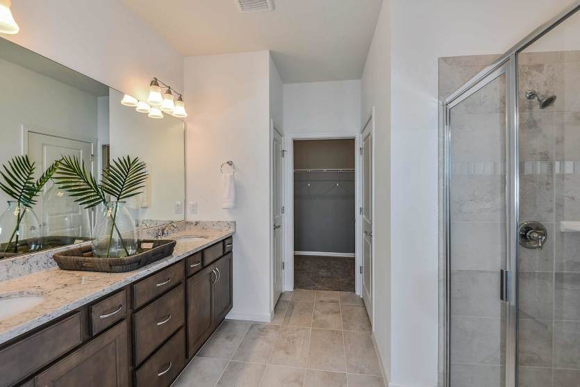 Owner's Bath