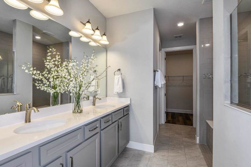 Owner's Bath