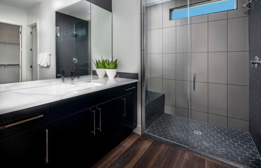 Owner's Bath with Low-Threshold Walk-In Shower