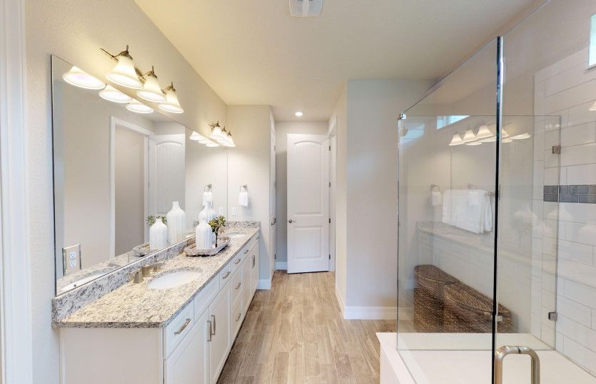 Spacious Owner's Suite Bathroom - Model Representation