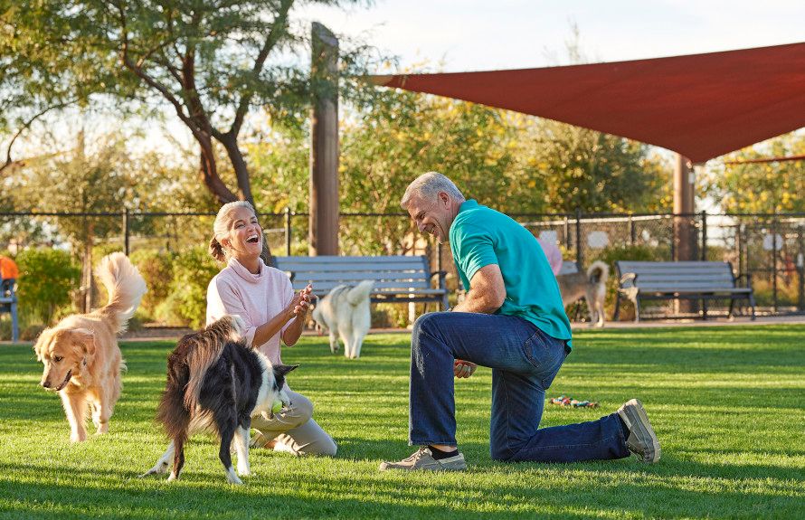 Community Dog Park