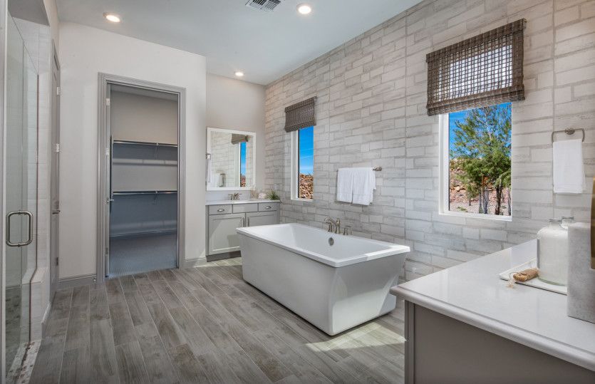 Luxurious Owner's Bath