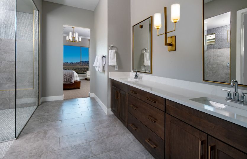 Luxurious Owner's Bath