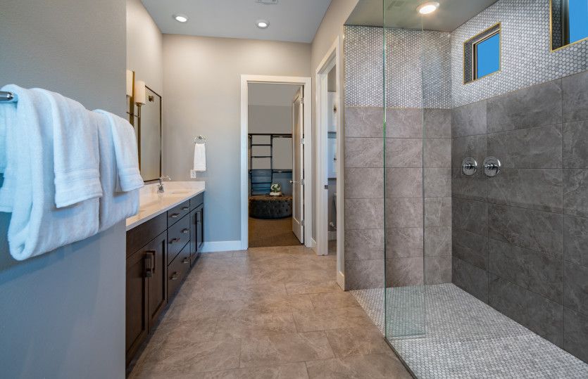 Owner's Bath