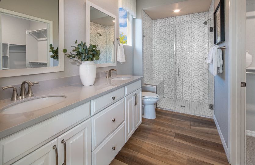Owner's Bath