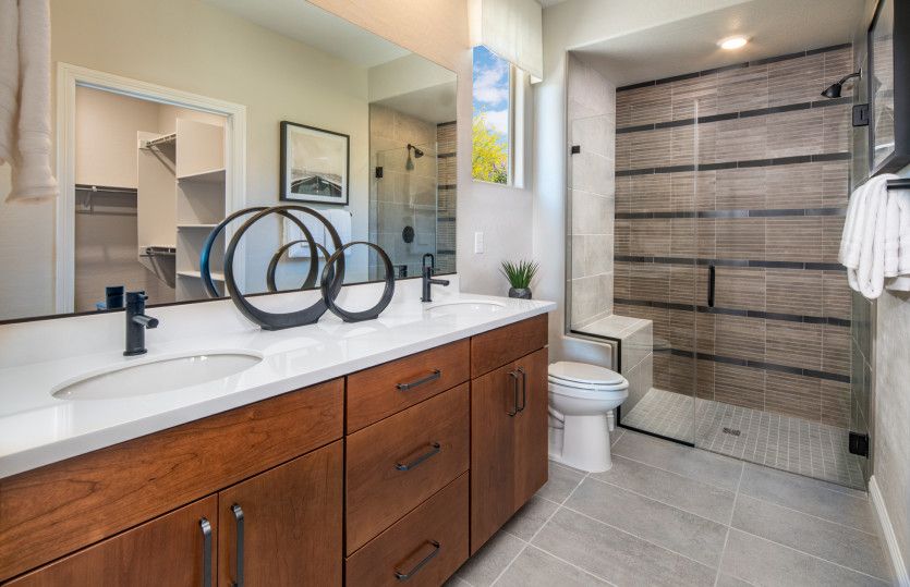 Luxurious Owner's Bath