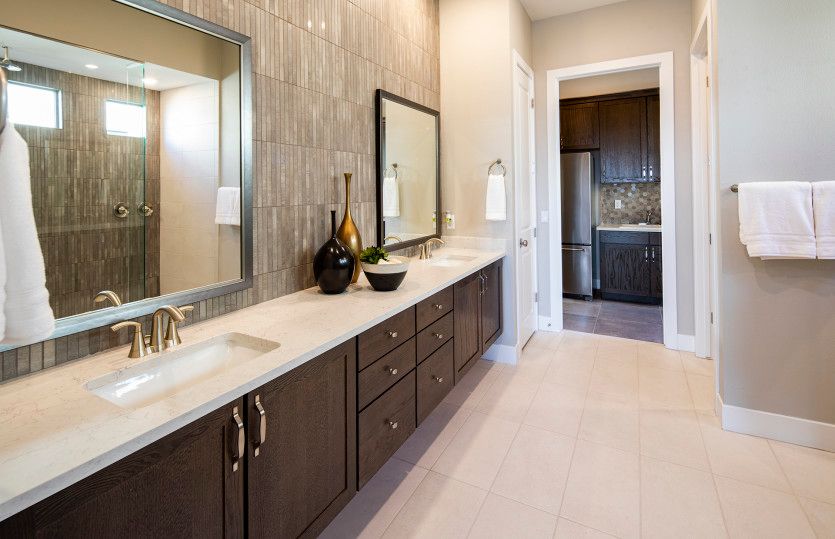 Owner's Bath