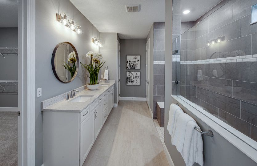 Owner's Bathroom
