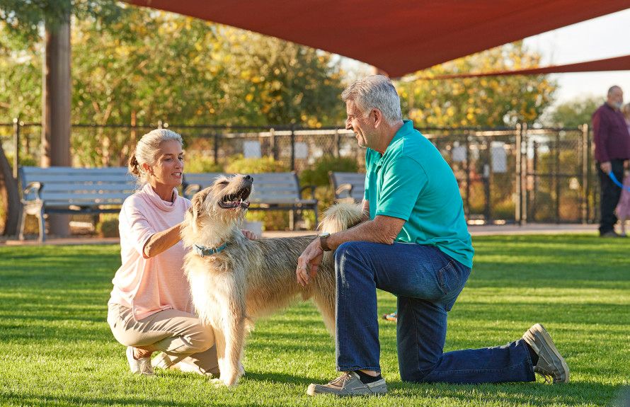 Outdoor Dog Park