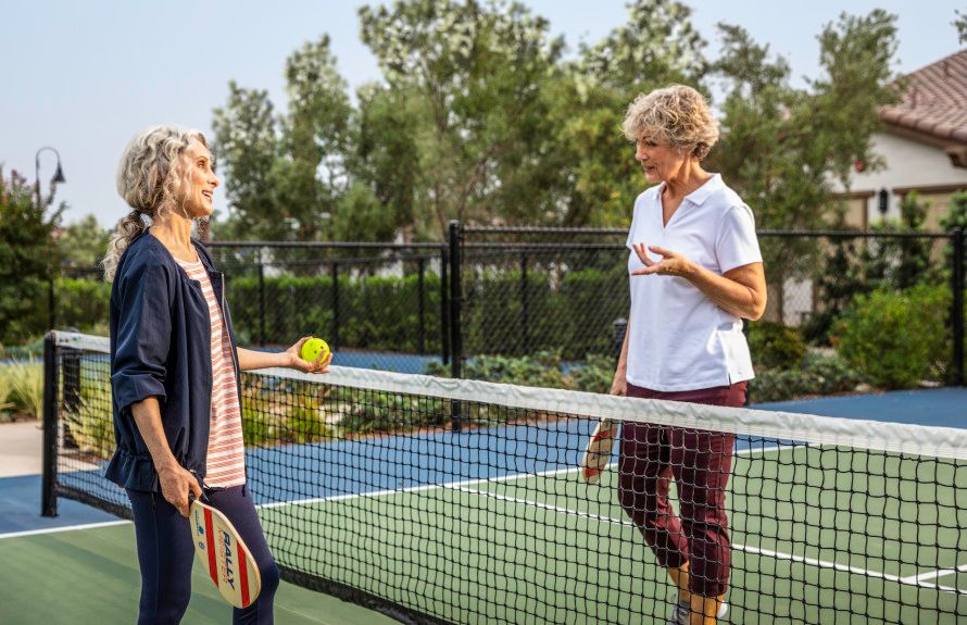 Play Pickleball