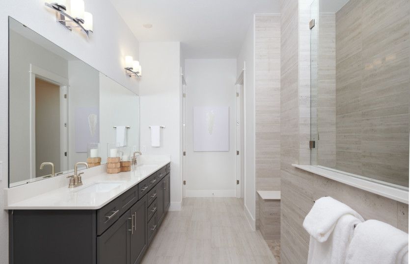 Owner's Bath