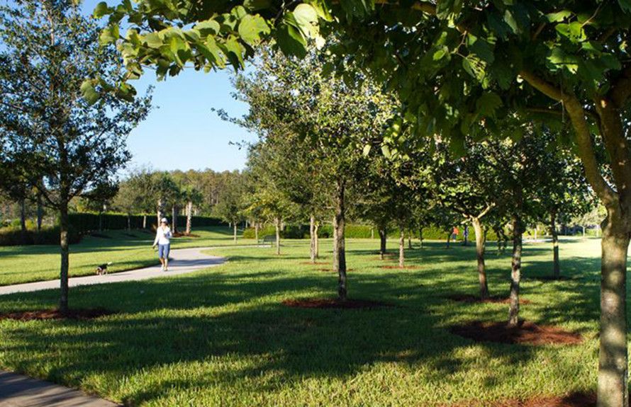 Numerous Walking Paths