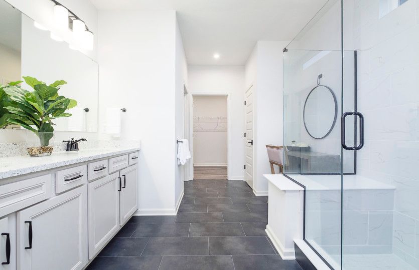 Owner's Bath