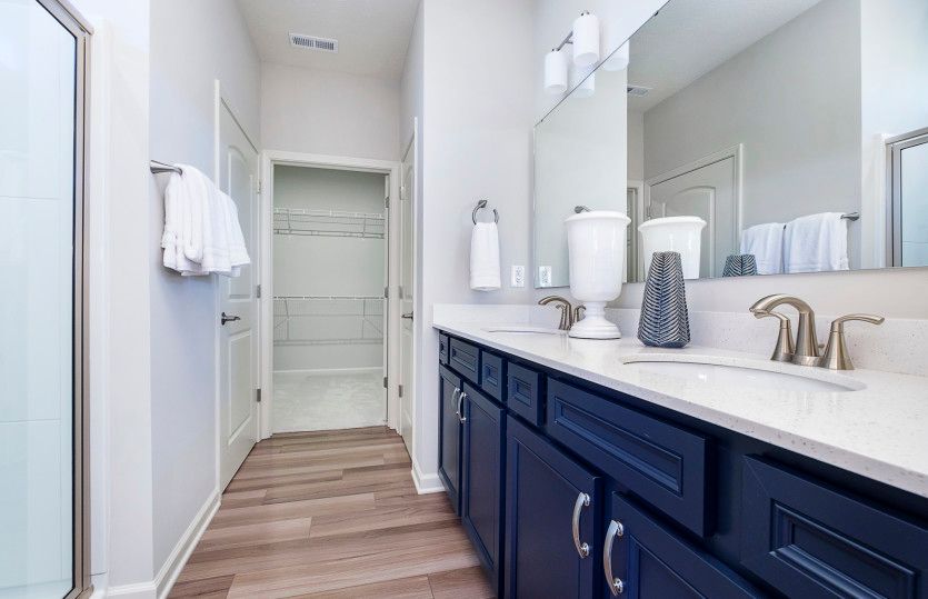 Owner's Bath