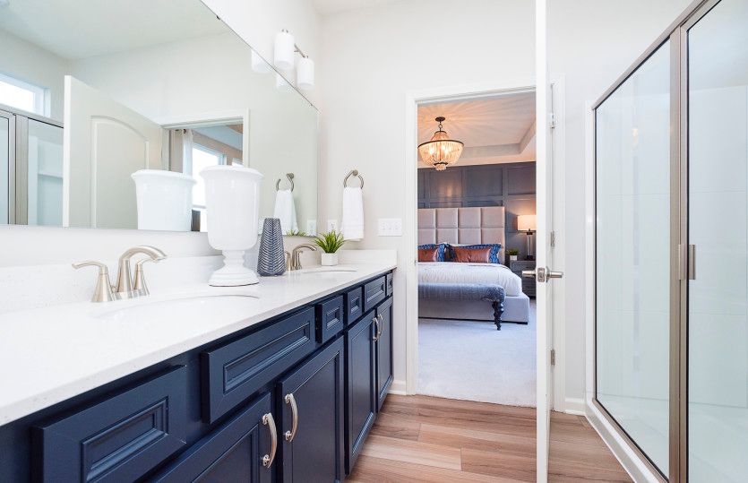 Owner's Bath