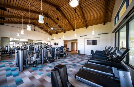 Cardio and Exercise Equipment