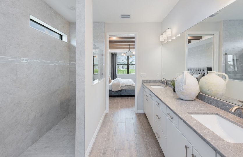 Owner's bathroom