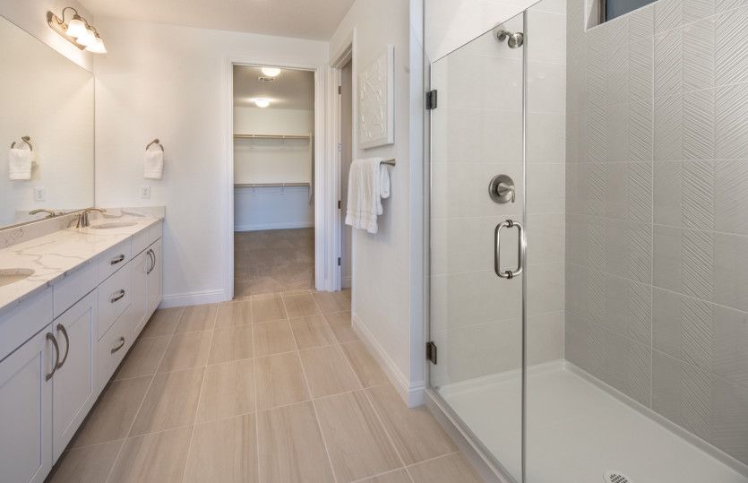 Owner's Bath