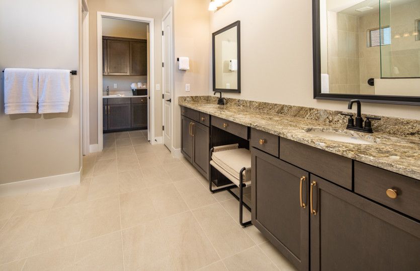 Owner's Bath