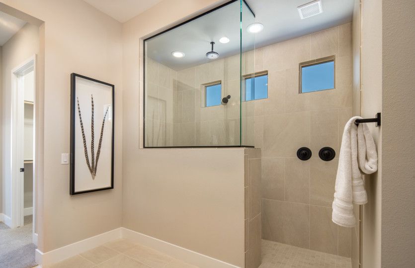Owner's Bath
