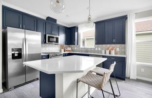 261 ECLIPTIC LOOP (Ellenwood)
